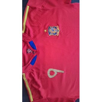 Camisa Seleção Espanha 2010 Torres Nº 9 Cod.1152