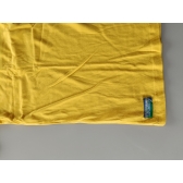 Camisa Seleção Brasileira Braziline 10 Amarildo 1962