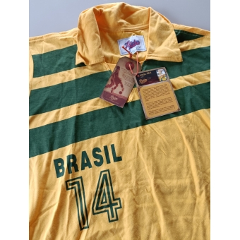 Camisa Seleção Brasileira Volei Liga Retrô 14