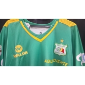 Camisa Colombia Deportivo Quindio 2009 Walon Cod.1291