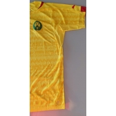 Camisa Seleção Camarões Puma Amarela