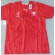 Camisa Seleção Polonia Puma Vermelha Nº9 Lewandowiski