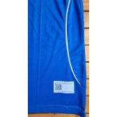 Camisa Seleção Itália Azul Puma Nº9 Balotelli