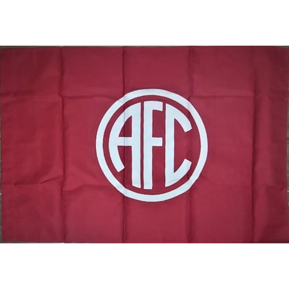 Bandeira América 0,98 x 0,67